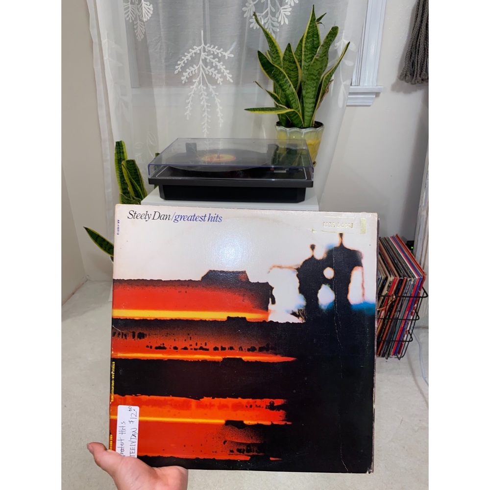 Vintage Steely Dan Record Album